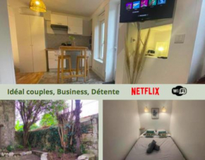 L'escale Niortaise- Le palmier - Centre-ville, Jardin, Netflix, gare SNCF
